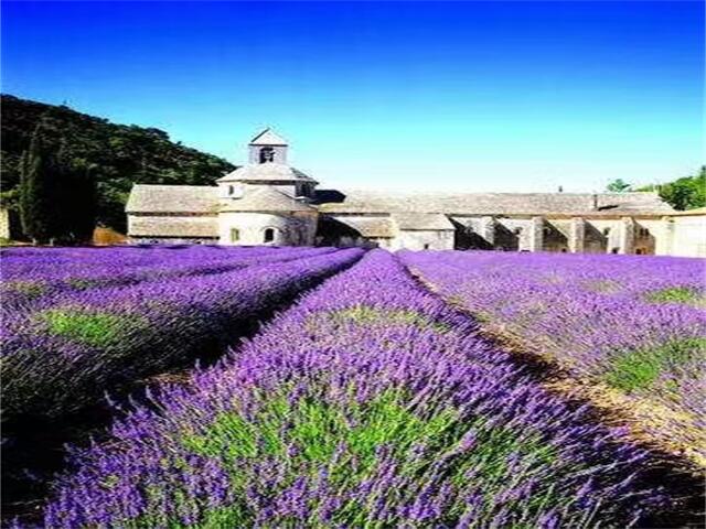 中秋节温馨祝福寄语,太原夜总会分享哲理名言佳句