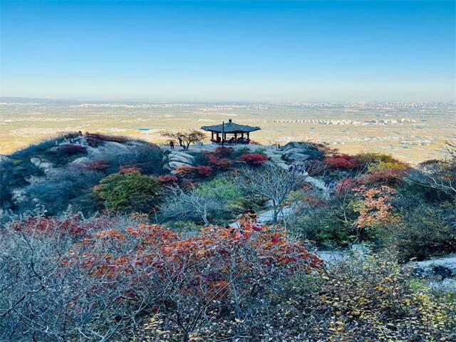 520网络情人节祝福语-520情人节短信